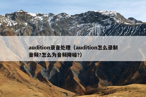 audition录音处理（audition怎么录制音频?怎么为音频降噪?）