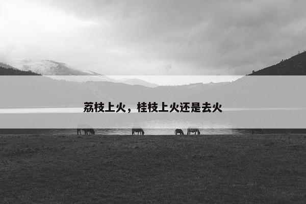 荔枝上火，桂枝上火还是去火