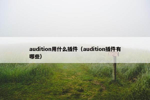 audition用什么插件（audition插件有哪些）