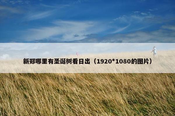 新郑哪里有圣诞树看日出(1920*1080的图片) 新郑哪里有圣诞树看日出(1920*1080的图片)