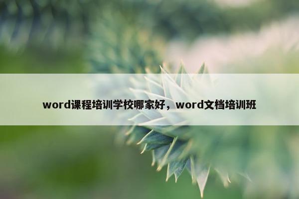 word课程培训学校哪家好，word文档培训班