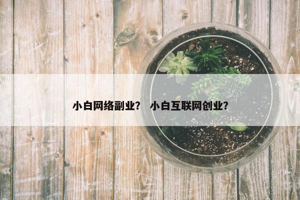 小白网络副业? 小白互联网创业? 小白网络副业? 小白互联网创业?