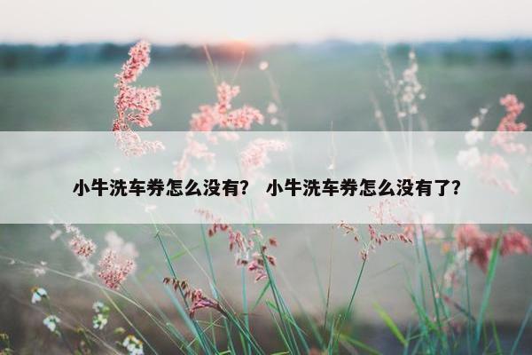 小牛洗车券怎么没有？ 小牛洗车券怎么没有了？