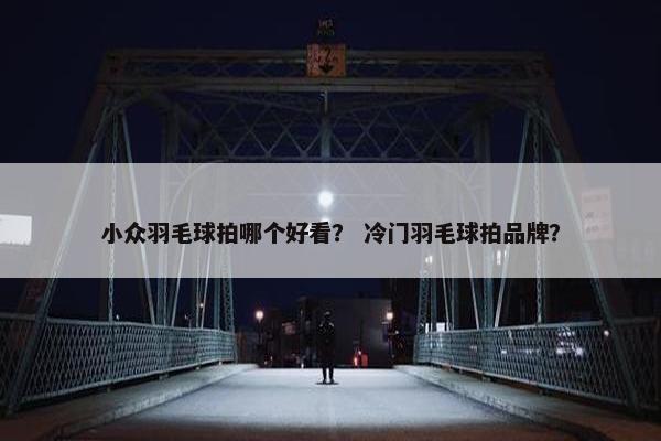 小众羽毛球拍哪个好看? 冷门羽毛球拍品牌? 小众羽毛球拍哪个好看? 冷门羽毛球拍品牌?