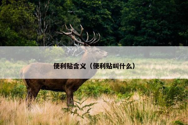 便利贴含义(便利贴叫什么) 便利贴含义(便利贴叫什么)