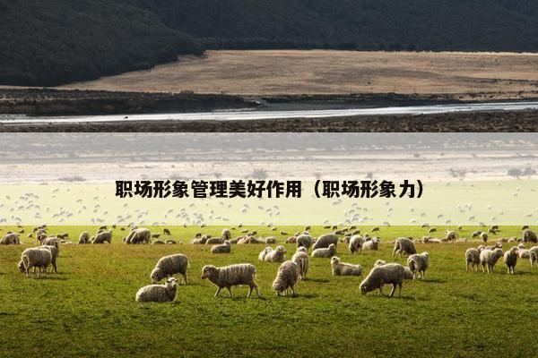 职场形象管理美好作用(职场形象力) 职场形象管理美好作用(职场形象力)
