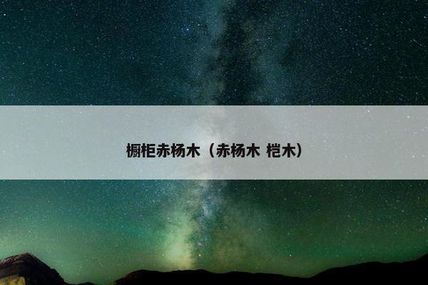 橱柜赤杨木(赤杨木 桤木) 橱柜赤杨木(赤杨木 桤木)