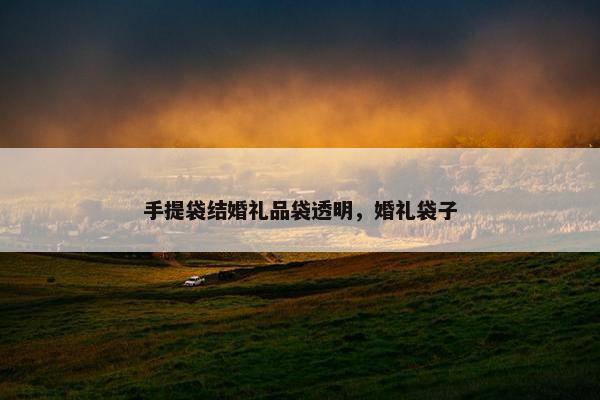 手提袋结婚礼品袋透明,婚礼袋子 手提袋结婚礼品袋透明,婚礼袋子