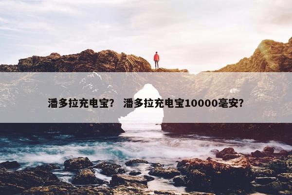 潘多拉充电宝？ 潘多拉充电宝10000毫安？