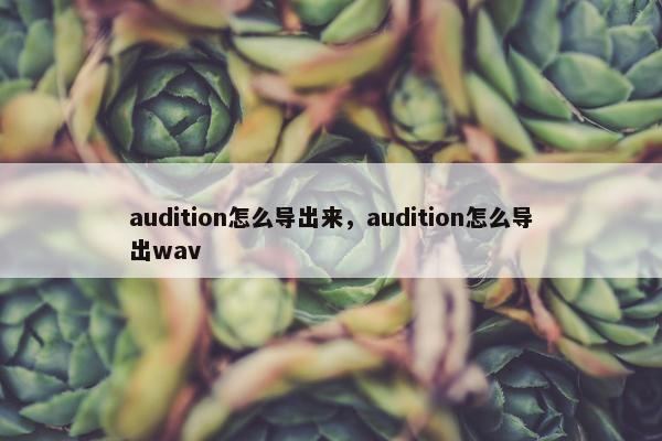 audition怎么导出来，audition怎么导出wav