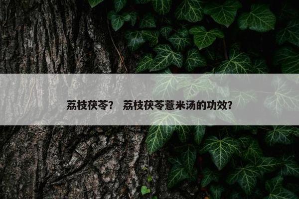 荔枝茯苓？ 荔枝茯苓薏米汤的功效？