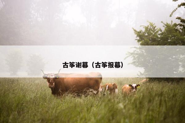 古筝谢幕(古筝报幕) 古筝谢幕(古筝报幕)