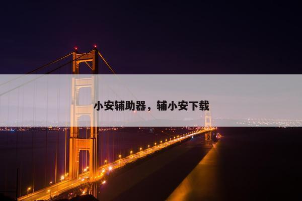 小安辅助器，辅小安下载