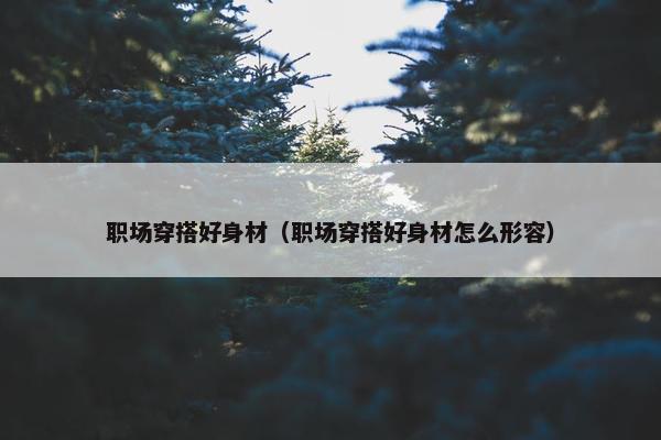 职场穿搭好身材（职场穿搭好身材怎么形容）