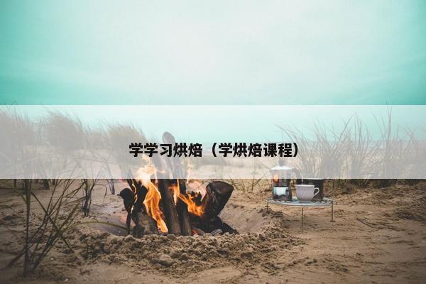学学习烘焙（学烘焙课程）