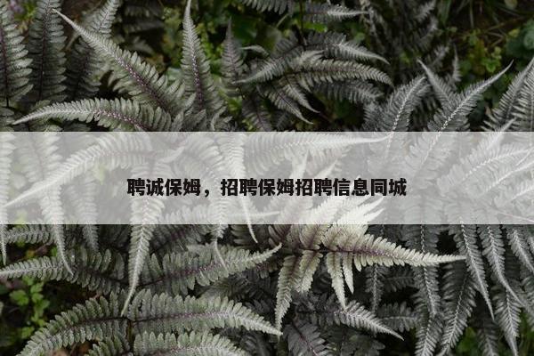 聘诚保姆，招聘保姆招聘信息同城