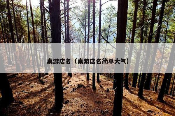 桌游店名（桌游店名简单大气）