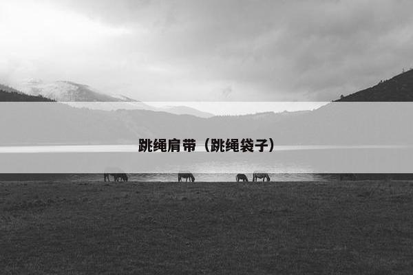 跳绳肩带(跳绳袋子) 跳绳肩带(跳绳袋子)