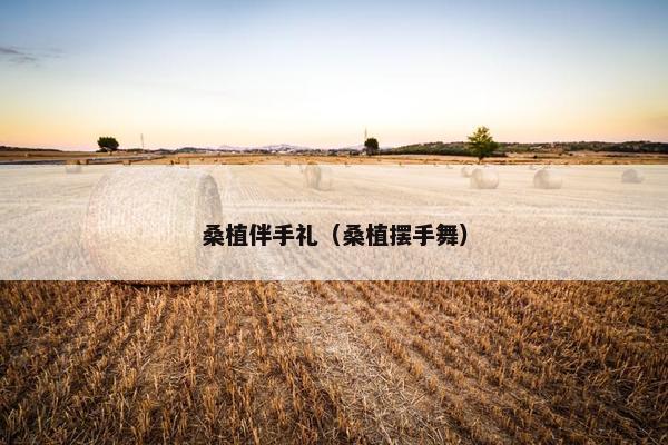 桑植伴手礼（桑植摆手舞）