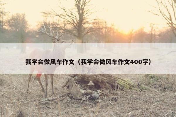 我学会做风车作文(我学会做风车作文400字) 我学会做风车作文(我学会做风车作文400字)