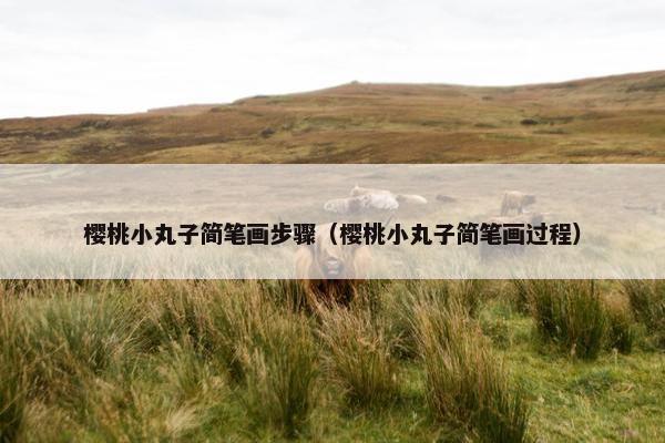 樱桃小丸子简笔画步骤（樱桃小丸子简笔画过程）