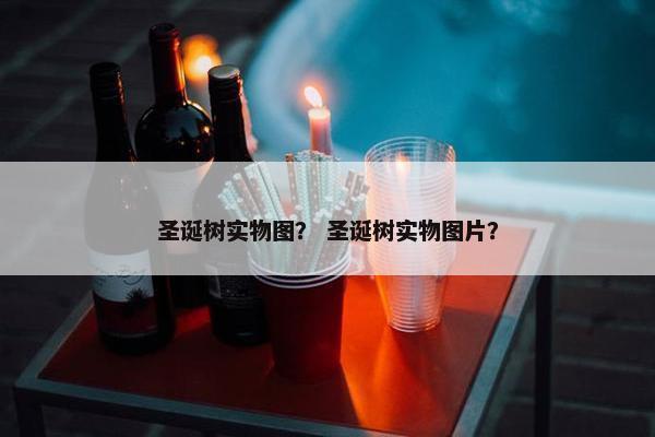 圣诞树实物图? 圣诞树实物图片? 圣诞树实物图? 圣诞树实物图片?