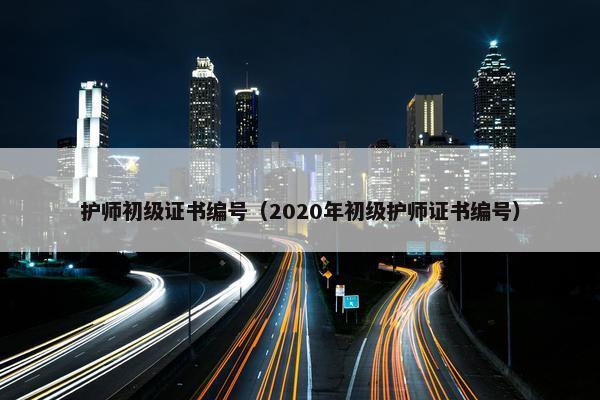 护师初级证书编号（2020年初级护师证书编号）