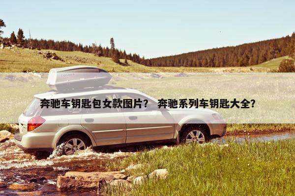 奔驰车钥匙包女款图片？ 奔驰系列车钥匙大全？