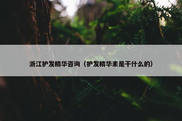浙江护发精华咨询(护发精华素是干什么的) 浙江护发精华咨询(护发精华素是干什么的)
