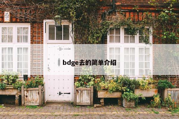 bdge去的简单介绍 bdge去的简单介绍