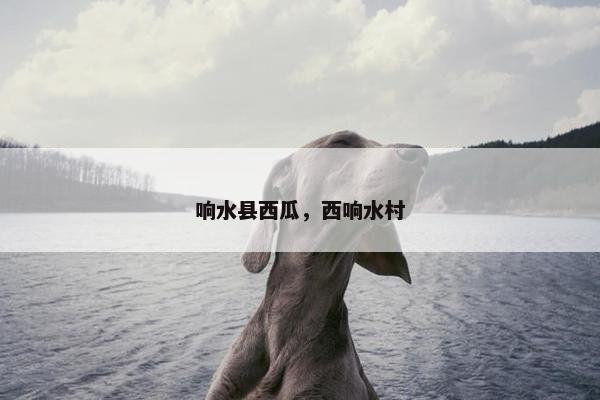 响水县西瓜,西响水村 响水县西瓜,西响水村