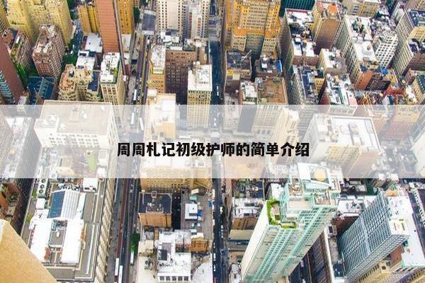 周周札记初级护师的简单介绍