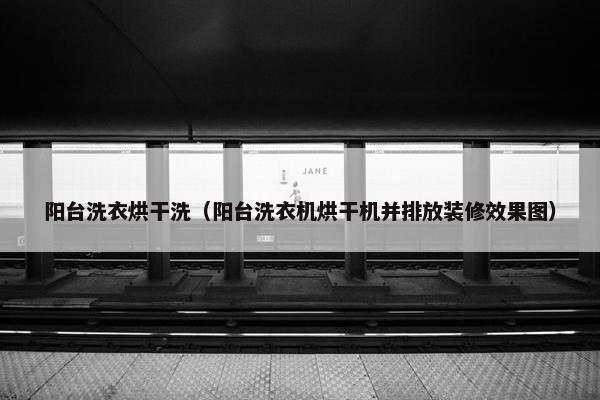 阳台洗衣烘干洗（阳台洗衣机烘干机并排放装修效果图）