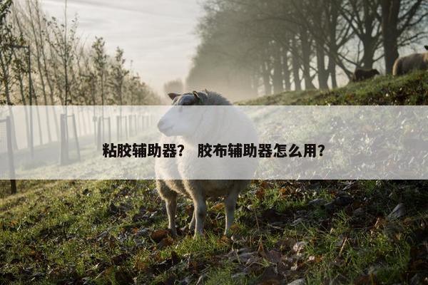 粘胶辅助器？ 胶布辅助器怎么用？