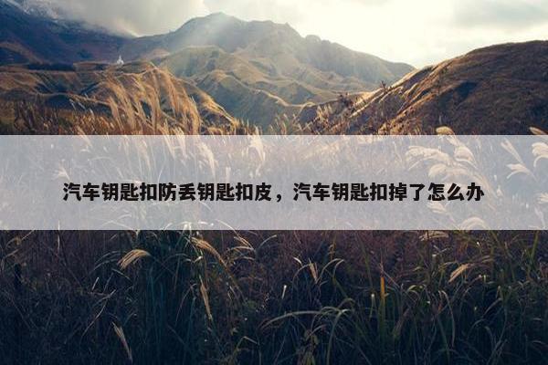 汽车钥匙扣防丢钥匙扣皮,汽车钥匙扣掉了怎么办 汽车钥匙扣防丢钥匙扣皮,汽车钥匙扣掉了怎么办