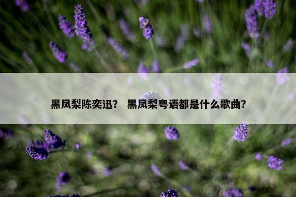 黑凤梨陈奕迅? 黑凤梨粤语都是什么歌曲? 黑凤梨陈奕迅? 黑凤梨粤语都是什么歌曲?