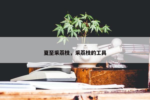 夏至采荔枝,采荔枝的工具 夏至采荔枝,采荔枝的工具
