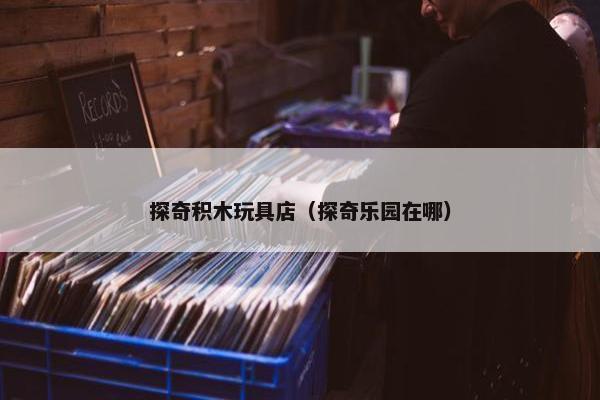 探奇积木玩具店（探奇乐园在哪）