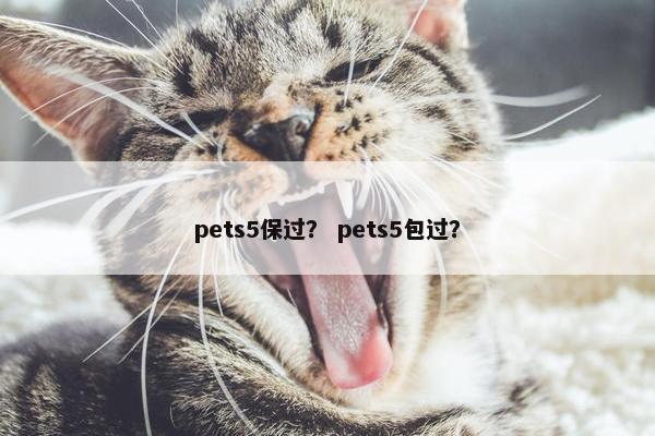 pets5保过? pets5包过? pets5保过? pets5包过?