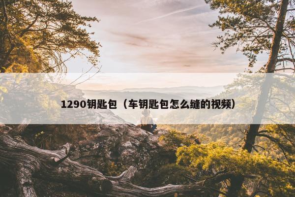1290钥匙包（车钥匙包怎么缝的视频）