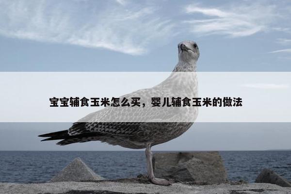 宝宝辅食玉米怎么买，婴儿辅食玉米的做法
