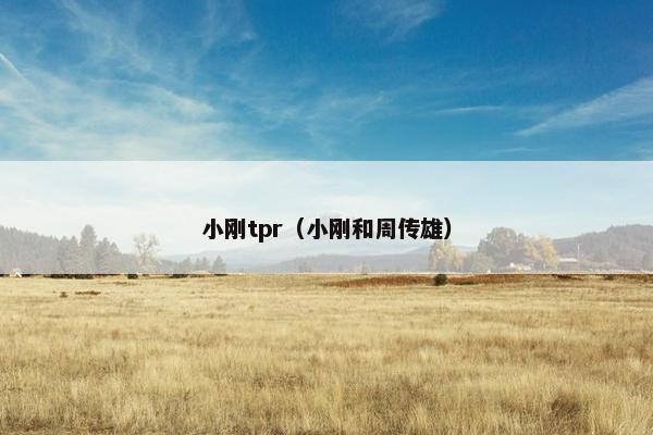 小刚tpr(小刚和周传雄) 小刚tpr(小刚和周传雄)