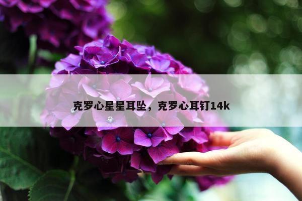 克罗心星星耳坠，克罗心耳钉14k