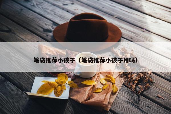 笔袋推荐小孩子（笔袋推荐小孩子用吗）