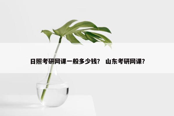 日照考研网课一般多少钱？ 山东考研网课？