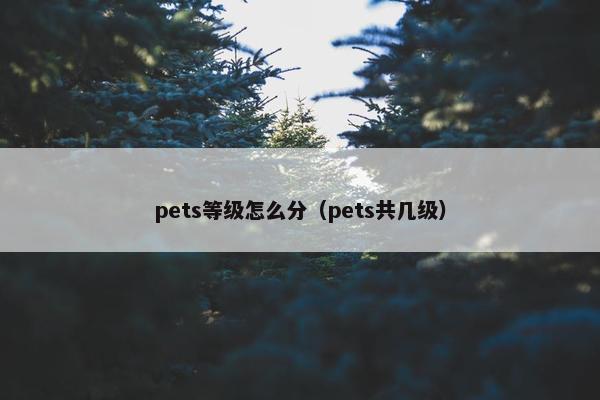 pets等级怎么分（pets共几级）