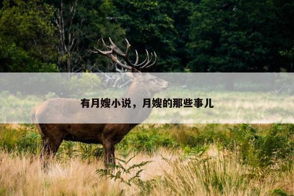 有月嫂小说,月嫂的那些事儿 有月嫂小说,月嫂的那些事儿