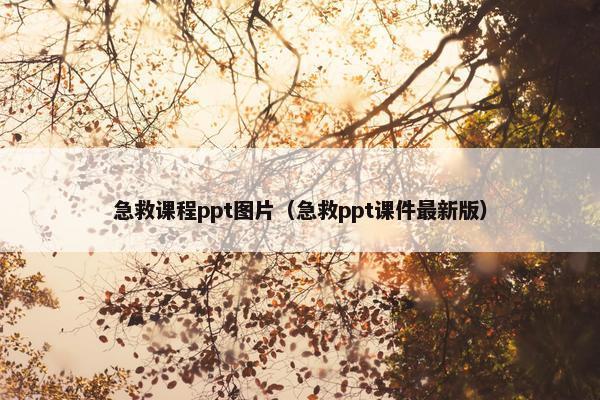 急救课程ppt图片（急救ppt课件最新版）