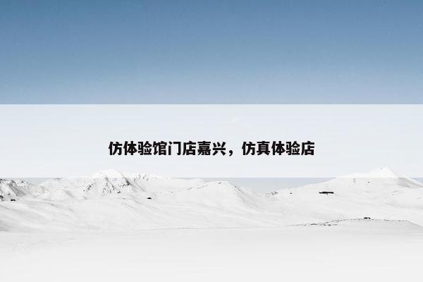 仿体验馆门店嘉兴，仿真体验店