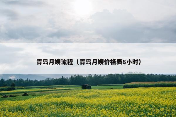 青岛月嫂流程（青岛月嫂价格表8小时）